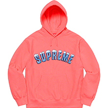 Supreme Icy Arc Hooded Sweatshirt